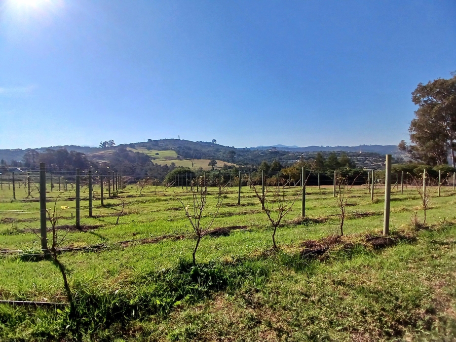 0 Bedroom Property for Sale in Welbedacht Western Cape